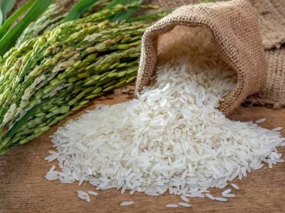 EE. UU. solicita a Abinader derogar decreto que establece aranceles al arroz