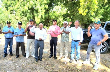 Productores de tabaco del Cibao denuncian crisis y piden a Abinader intervenir ante aumento de las importaciones