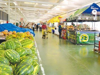 Merca Santo Domingo anuncia medidas para organizar mercado de la pulga