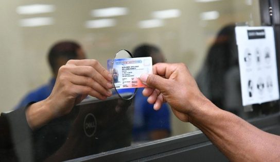 TC anula renovación especial de licencias para mayores de 75 años