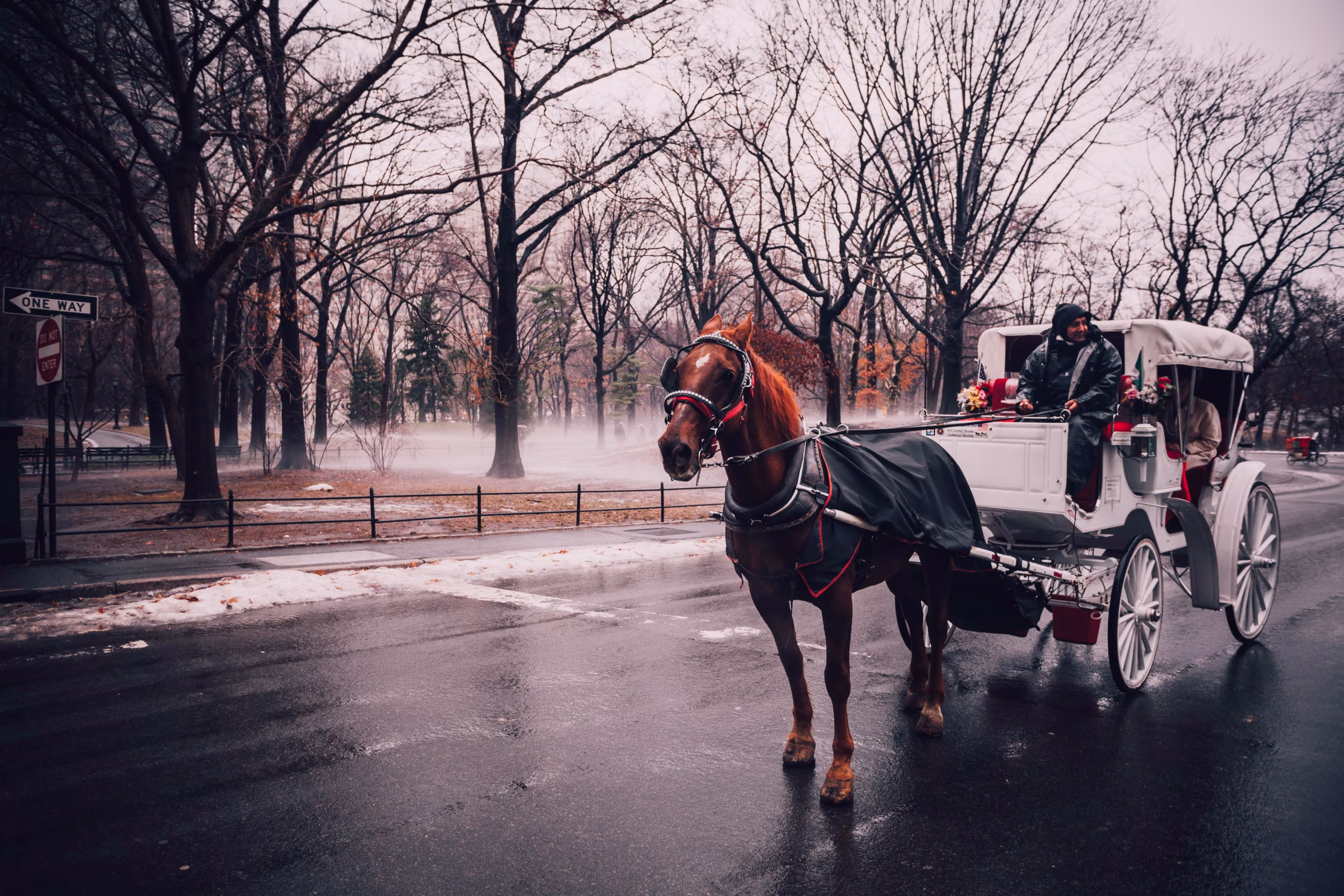Nueva York busca prohibir los carruajes tirados por caballos a partir de 2028