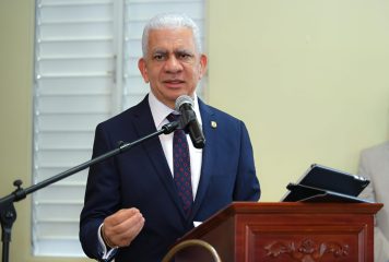 Ricardo De los Santos destaca estructura de Carolina Mejía en Independencia