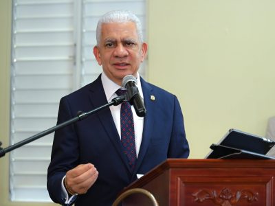 Ricardo De los Santos destaca estructura de Carolina Mejía en Independencia