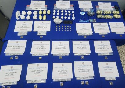 DNCD y Policía Nacional incautan más de 15 mil gramos de drogas y arrestan a 59 personas en Santiago
