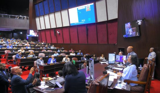 Diputados debaten impacto de subsidios en combustibles y electricidad
