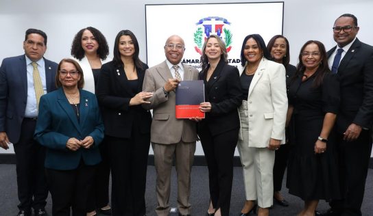 Diputados crean comisión especial para estudiar la Ley Mirabal