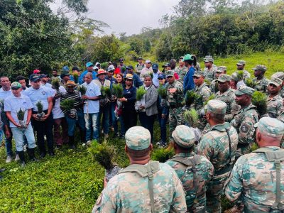 Medio Ambiente siembra 3,000 pinos criollos en Polo, Barahona