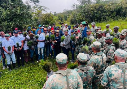 Medio Ambiente siembra 3,000 pinos criollos en Polo, Barahona