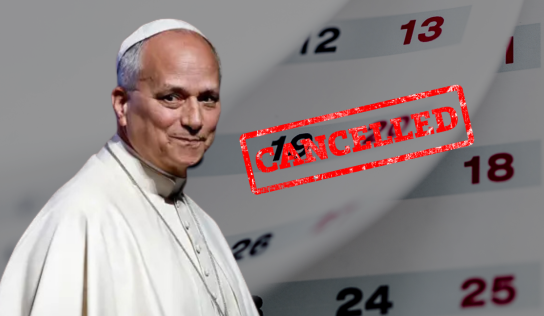 Papa León XIV cancela sus audiencias hasta el 20 de octubre por cirugía pulmonar