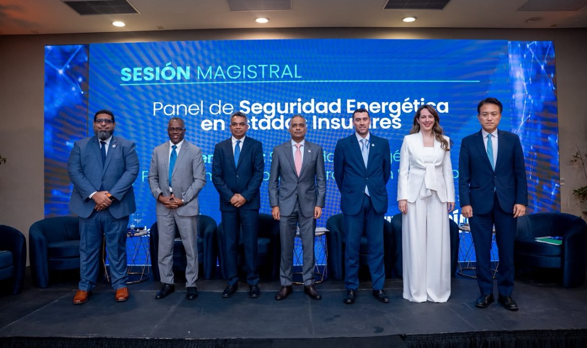 RD impulsa proyectos de almacenamiento y generación para reforzar la seguridad energética