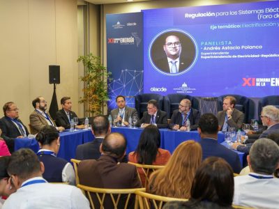 Superintendente de Electricidad analiza retos regulatorios ante el crecimiento de la demanda energética
