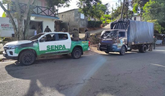 Medio Ambiente y SENPA desmantelan cinco estructuras y detienen a 30 personas en Jarabacoa y Constanza