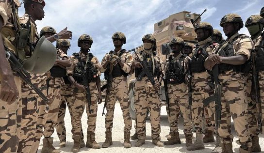 Fuerza antipandillas acusa a bandas haitianas de difundir desinformación para obstaculizar operaciones