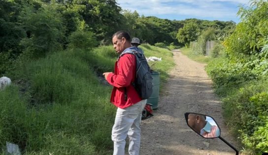 Medio Ambiente evalúa áreas para futuras jornadas de reforestación en la provincia